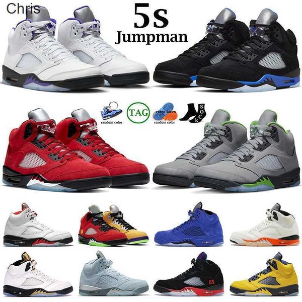 

basketball shoes for men 5s 5 jumpman green bean racer blue raging red what the stealth 2.0 shattered backboard, Black;white