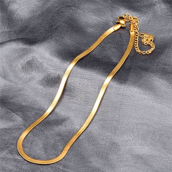 

hip hop 316l titanium steel snake gold chain necklace designer woman silver chokers chains necklaces for women party friend gift punk fashio