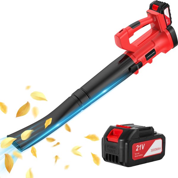

industrial grade portable hand-held leaf blower/snow blower 21v