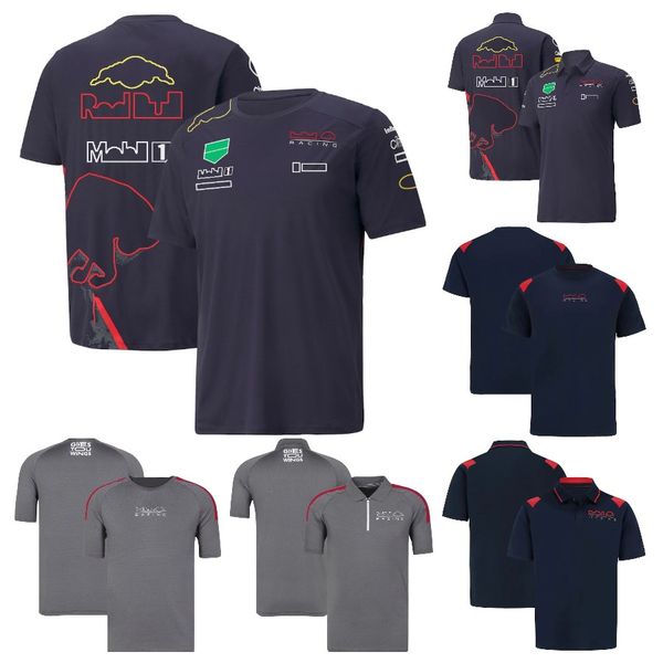 

f1 team racing polo shirt t-shirt formula 1 fans racing suit t-shirt short sleeve summer fashion men's plus size motocross jersey
