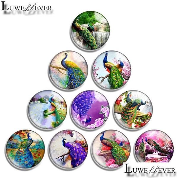 

clasps hooks 10mm 12mm 14mm 16mm 20mm 25mm 30mm clasps hooks 656 peacock round glass cabochon jewelry finding fit 18mm snap button dhuo1