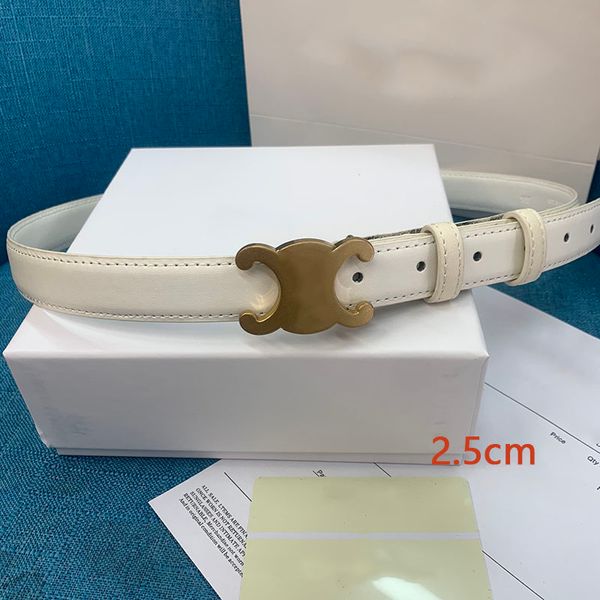 

belts luxury designer belt classic style mens belt womens belts width 2.5cm can be cut by yourself length is great t2302033, Black;brown