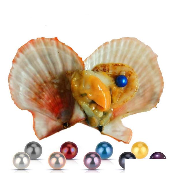 

pearl akoya pearl oyster diy round 67mm rainbow salt water shells natural ctured in fresh mussel farm supply drop delivery jewelry dhgmw, White
