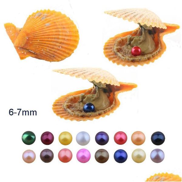 

pearl diy 27 colors round akoya single pearls oysters 67mm individually wrapped great party gift red shell mussel a0089 drop deliver dhr7h, White