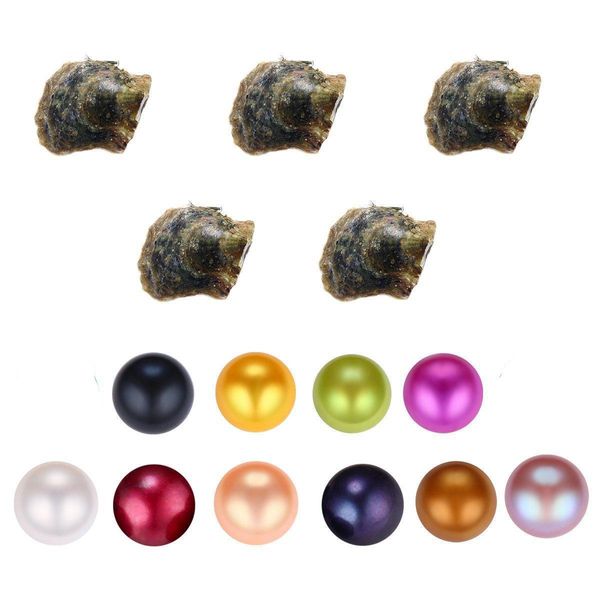 

pearl round 67mm color vacuum packaging seawater mussels dyeing pearl oyster ctured in fresh farm supply drop delivery jewelry dhl8v, White
