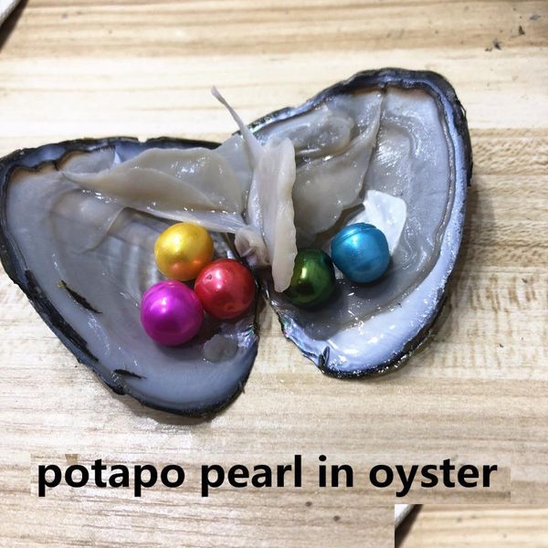 

pearl wholesale new rainbow 911mm potapo pearl in freshwater oyster wish meaning funny birthday gift for women party diy drop delive dhtiu, White