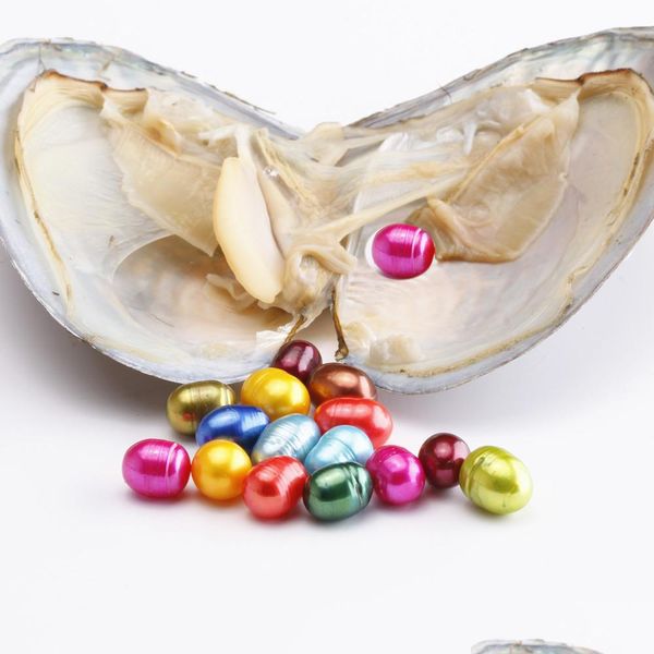 

pearl nt 69mm colored oval pearl big large grade natural pearls in oyster with vacuum packing diy drop delivery jewelry dhpye, White