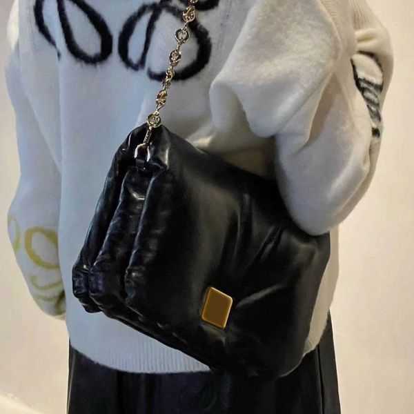 

cosmetic bags cases women lowe small 2023 fashion bag shoulder designer puffy bags chain goyas square leather lambskin versatile pillow puff