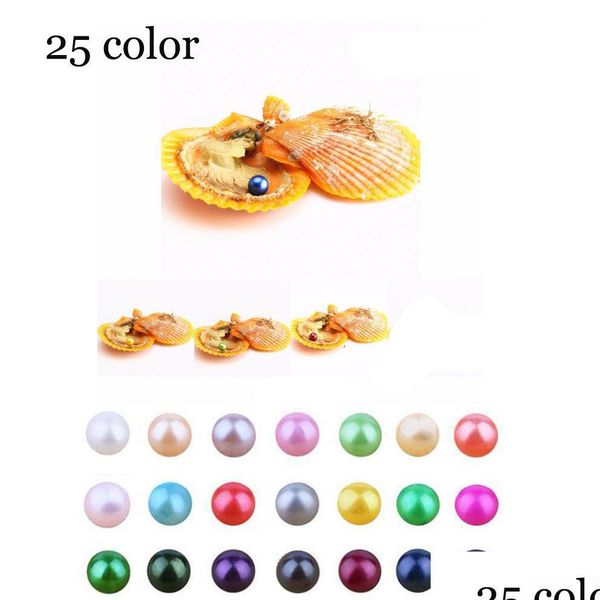 

pearl akoya oyster pearl 67mm round in oysters red shell with colouf pearls jewelry by vacuum packed drop delivery dhmd6, White