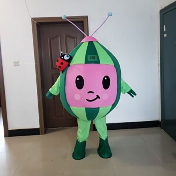 

2022 factory sale watermelon fruit mascot costume fancy dress size anime birthday party, Red;yellow