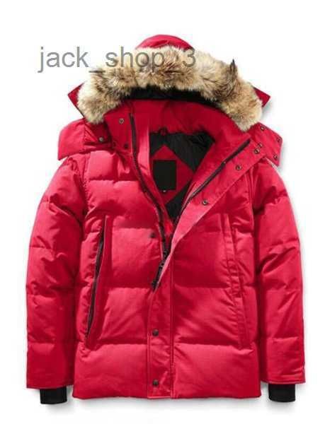 

men's down parkas winter fourrure parka homme jassen chaquetas outerwear wolf fur hooded manteau canada jacket coat hiver doudoune 22, Black