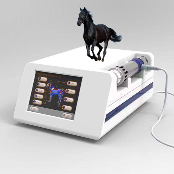

shockwave therapy other health care items offers fast and effective long-term injury treatment for equine animal