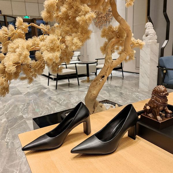 

2023 paris fashion show single shoes high heel leather female pointed professional, Black
