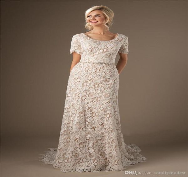

new sheath champagne modest wedding dresses lace gowns with short sleeves scoop neck vintage buttons back boho bridal gowns custom5395952, White