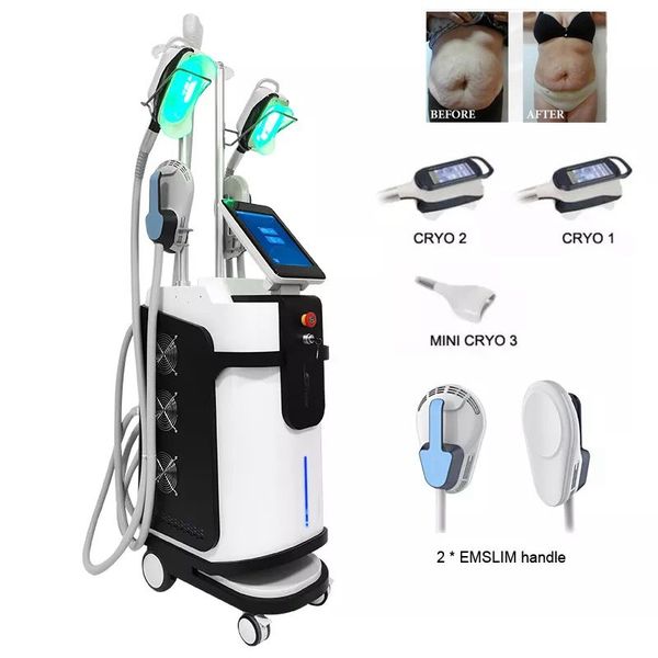 

cool slimming machine sculpting body contouring 360 cryotherapy equipment emslim electromagnetic massage eqipment magnetic muscle training e