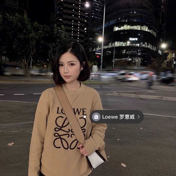 

designers hoodies loew's fashion man long sleeve warm cotton couple round neck high-end embroidery sweater luxury pullover fashion shir, Black