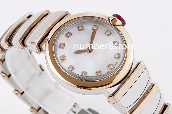 

bv 28mm lady womens watch 18k rose gold & stainless steel pearl dial swiss quartz sapphire crystal luxury wristwatches water resistance smal, Slivery;brown