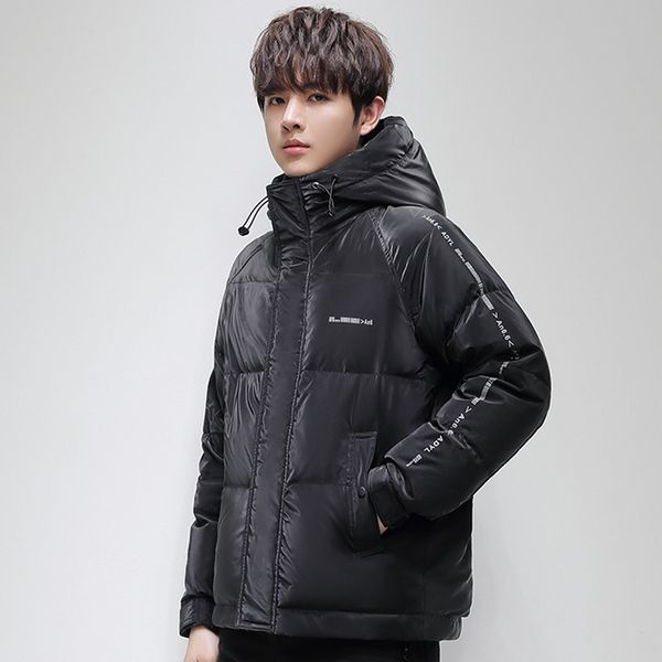 

men's down parkas fashion winter men down jacket oversize streetwear puffer jacket men parka harajuku winter white duck down coat men o, Black