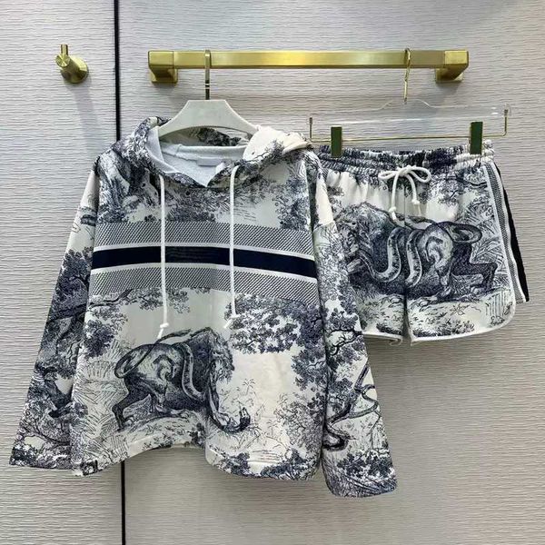 

womens tracksuit hoodies short pants casual fashion two piece set fasion female tracksuits women's clolthing size s-l, Gray