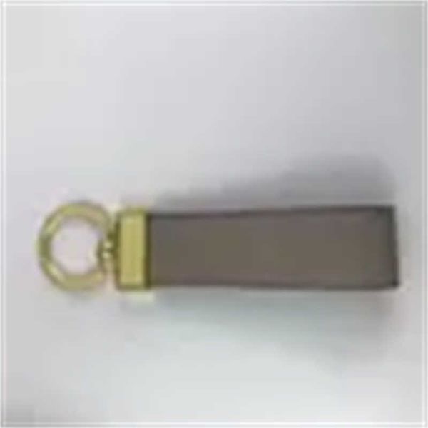 

designer keychain men women fashion bag pendant accessories cute carabiner keychains lovers car key chains key chain100, Blue;gray