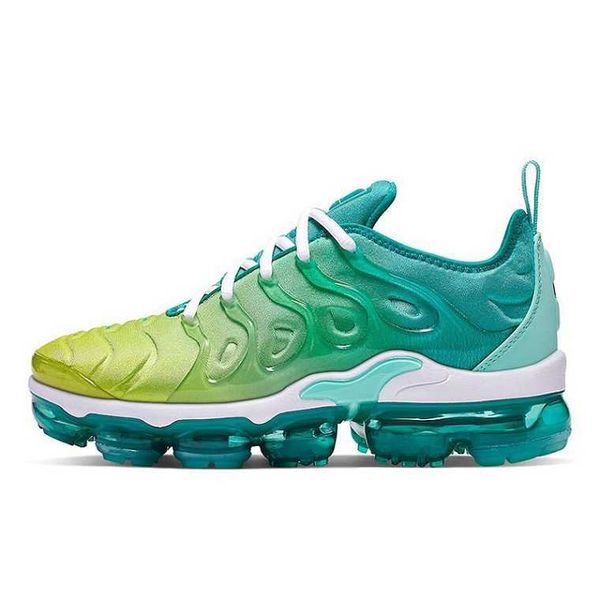 

new populer running shoes tn plus men women triple white black psychic pink red aurora green zebra blue fury sunset grape sports sneakers