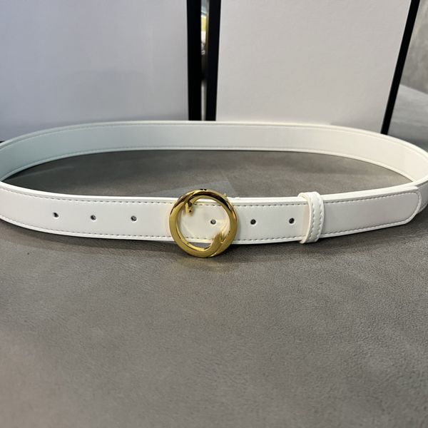 

luxury designers belt luxurys classic fashion belts antique needle buckle women belts fashions men leather 4 color classics beltes width 2.8, Black;brown