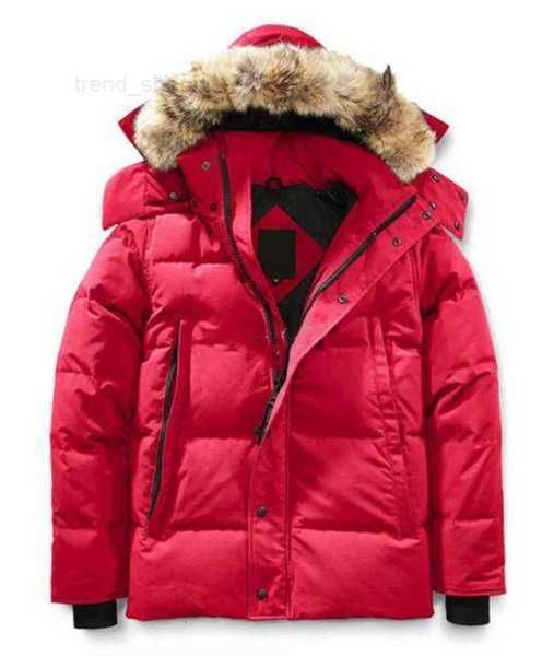 

winter parkas men men's down coats jassen chaquetas outerwear wolf fur hoodeds manteaus wyndhamswl0p, Black