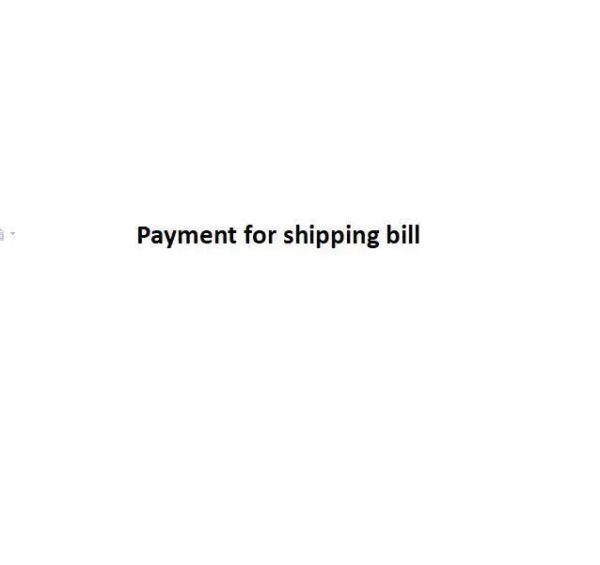 

payment for bill luggage making materials supplementary price difference