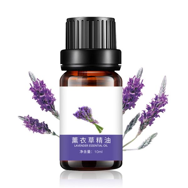 

Lavender Organic Synthetic Essential Oils Professional Made In China Natural Plants Extraction Aromatherapy Air Freshener Aroma Diffuser Atomizer