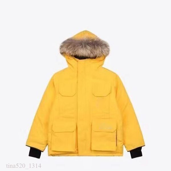 

kids parkas down coat jackets black maya hooded zipper letter jacquard tracksuit joint luxury designer coats womens puffer jacket vest winte, Blue;gray