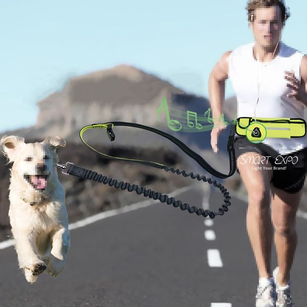 

retractable bungee dog running waist leashes for small medium and large dogs ps12