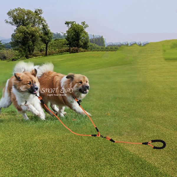 

strong double dog leashes for walking and training 2 dogs ps15