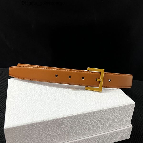 

YS L designer BeltsY SL Belts Y S L Belts Designer woman womens leather quiet cinture smooth needle buckle casua designer belt for womans leash letter 3 colors, Black