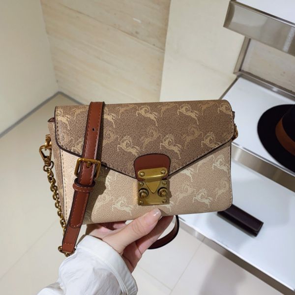 

High-value small bag for women 2025 autumn and winter new style printed fashion small square bag chain bag printed shoulder messenger bag, Coffee