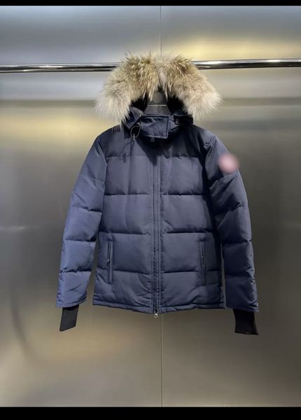 

Designer men' and women' winter down jackets, featuring classic red and blue logo design with white duck down, windproof, thick, warm, Black