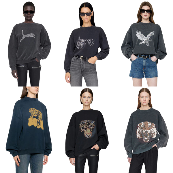 

25ss High Quality Luxury Designer Cotton Hoodies Sweatshirt New Trendy Classic Letter Pattern Print Fleece Women Long Sleeve Loose Pullover Hooded Sweater Tops, Gray