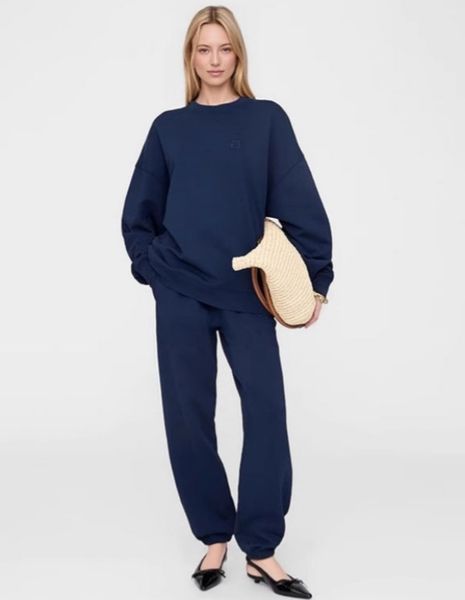 

25ss Early Autumn New Niche Classic Embroidered Letter Fleece-Lined Cotton Fleece Women's Sweatpants Designer's Casual Loose-Fit Hooded Pullover Sweatshirt Tops Set, Rosybrown