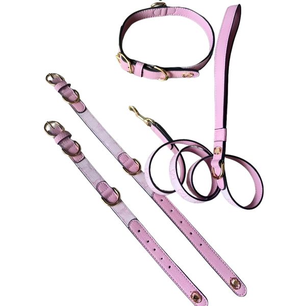 

Designer Pet Collar Leash Set -Adjustable Size Comfortable Stylish Accessories for Small  Large Dogs Cats Premium Pet Gear for Daily Walking Luxury Gift Box, Pink