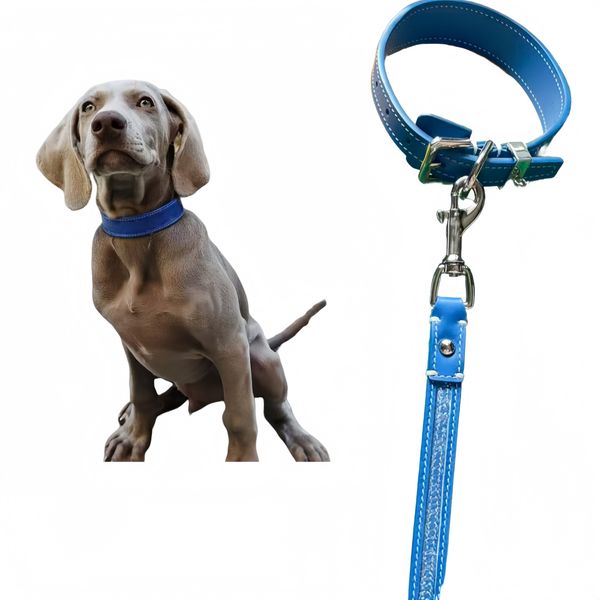 

Luxury Genuine Leather Dog Collar Pet Leash Adjustable Premium Handmade Leather Full Grain Custom Nameplate Gift Ready Packaging Blue