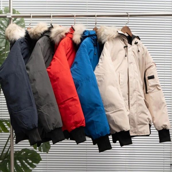 

Winter Men Down Jacket Gooses Puffer Jacket Homme Outdoor Jassen Outerwear Real Coyote Fur Warm Hooded Windproof Waterproof Thicken Coat Hiver Parka Doudoune, Colour6