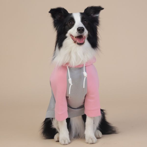 

All - Weather Four - Legged Raincoat for Small and Medium Dogs, Unisex Look, Pastel Colors, Beige