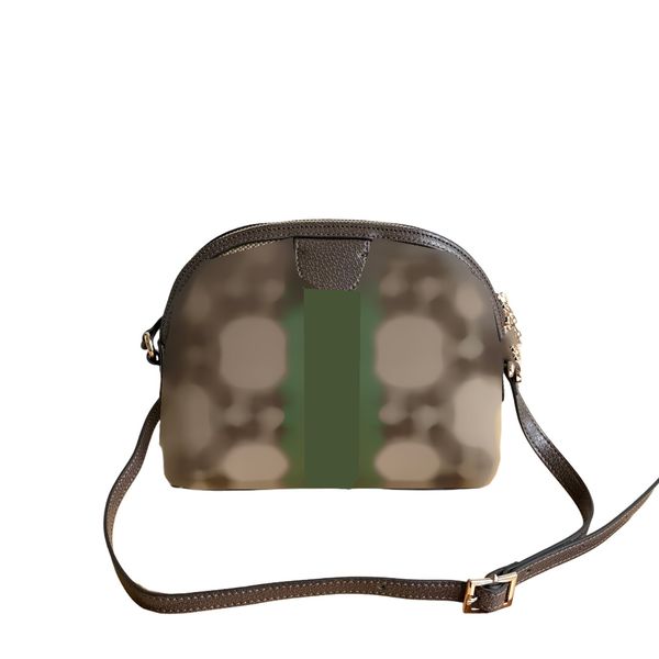 

Compact Seasonal Color Leather Bag - Interior Compartments + Woven Chain Strap, Khaki