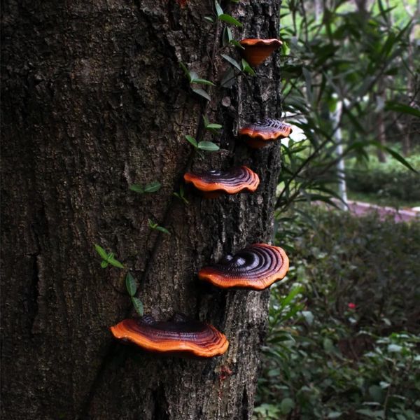 5pcs Resin Mushroom Tree Hugger Ganoderma Figurines Tree Sculpture Dark Mushroom Fairy Mushroom Garden Yard Decorations 250102