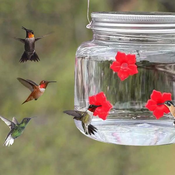 

Bird Feeder Outdoor Hanging Bird Water Feeders MasonJar Flower Hummingbirds Watering Bottle Drinker for Wild Bird Garden