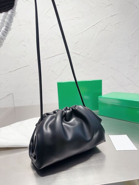 

designer mini pouch bag Hobos Bags Cloud Shoulder Handbag Fashion Mini Tote 22cm Daily Shopping Purse With Strap crossbody Clutch Evening Bag