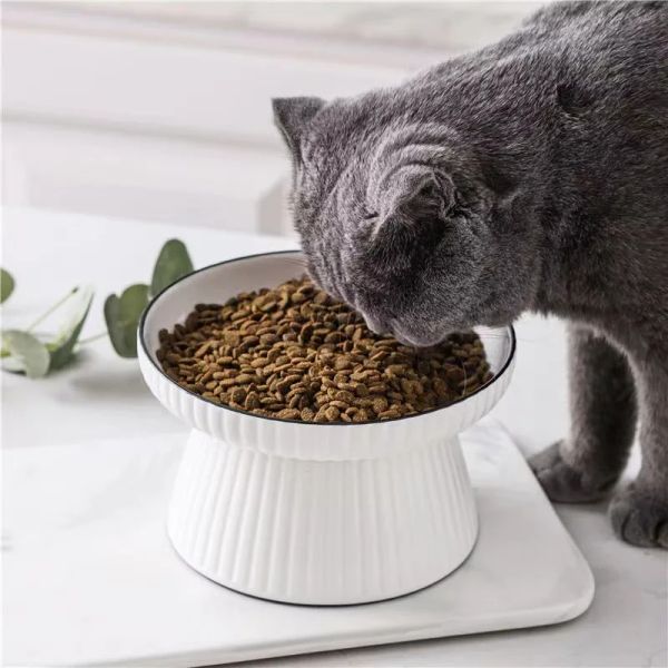 143281 Equipped with intelligent voice prompts, it automatically plays familiar cat sounds at mealtime to remind you to eat, super considerate.