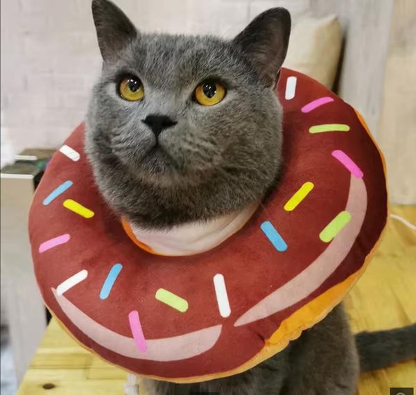 

Adjustable Cat Recovery Collar, Cute Cat Donut Collar, Soft Cone Collars for Cat, Wound Healing Protective Cone After Surgery, Pink and curry duplex