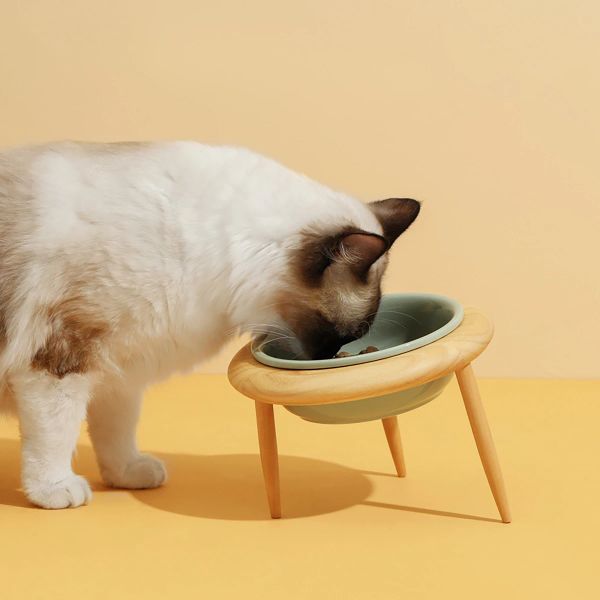 147779 Disposable cat bowls are waterproof and oil-proof, can keep the surrounding environment clean, and do not need to be washed after use