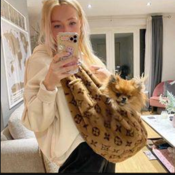 

free shipping Dog Sling, Soft Plush Pets Sling Carriers 0-15 lbs, Hands Free Puppy Carrier, Crossbody Kitten Carrier for Travel, Storage Pocket, Tote Design, Pink