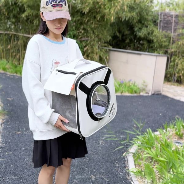 

Beni Pet Easy Store Portability: Versatile & Spacious Foldable Cat Bag Suitable For Outings, Green